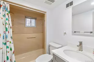 21 Pine Tree Ave, Hicksville, NY 11801 - Photo 19