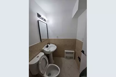 1161 E 101st Street, Brooklyn, NY 11236 - Photo 29