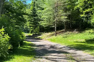 938 Woodland Valley Rd, Phoenicia, NY 12464 - Photo 3