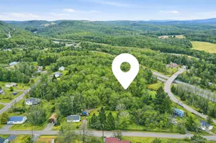 115 Cold Spring Rd, Liberty, NY 12754 - Photo 31