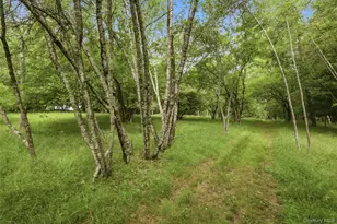 115 Cold Spring Rd, Liberty, NY 12754 - Photo 23