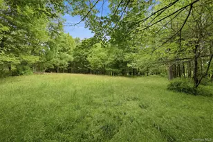 115 Cold Spring Rd, Liberty, NY 12754 - Photo 27