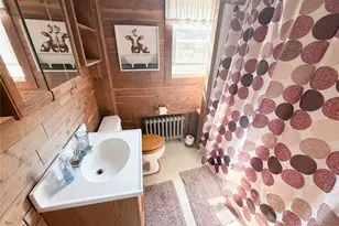 77 Rockland Rd, Roscoe, NY 12776 - Photo 15