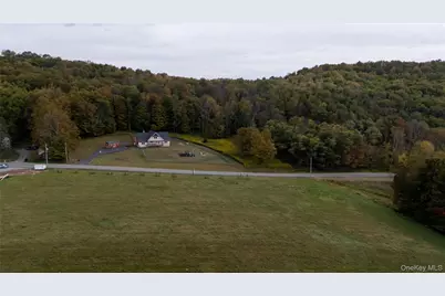 336 County (Hankins Rd) Road, Roscoe, NY 12776 - Photo 3