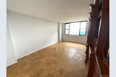 26910 Grand Central Parkway #27Z, Floral Park, NY 11005 - Photo 5
