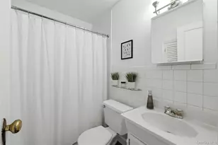 65 Moore St, New Hyde Park, NY 11040 - Photo 11