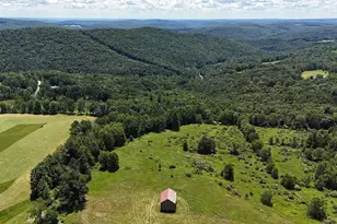 180 Henderson Rd, Hankins, NY 12741 - Photo 33