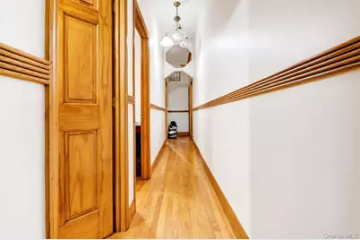 458 Halsey Street, Brooklyn, NY 11233 - Photo 15