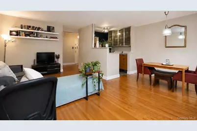 400 E 17th Street #304, Brooklyn, NY 11226 - Photo 9