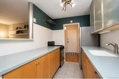 400 E 17th Street #304, Brooklyn, NY 11226 - Photo 15