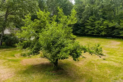 10 Hoffman Road, Fremont Center, NY 12741 - Photo 31