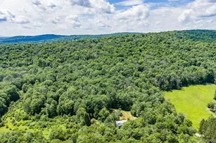 10 Hoffman Rd, Fremont Center, NY 12741 - Photo 41
