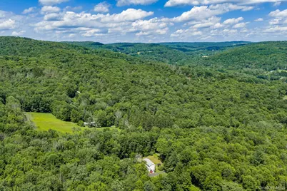 10 Hoffman Road, Fremont Center, NY 12741 - Photo 39