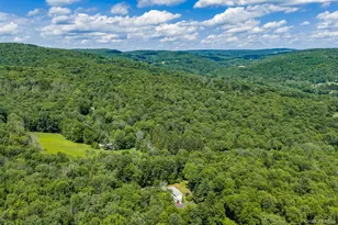 10 Hoffman Rd, Fremont Center, NY 12741 - Photo 39