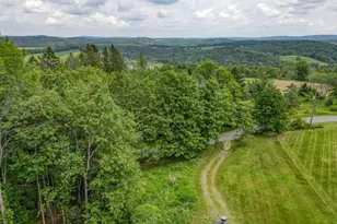993 Hurd Rd, Swan Lake, NY 12783 - Photo 49