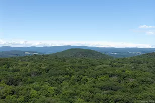 572 Hicks Hill Rd, Stanford, NY 12581 - Photo 23