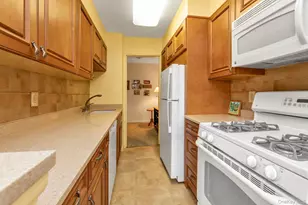 3 Birchwood Ct, Mineola, NY 11501 - Photo 7
