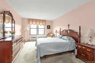 3 Birchwood Ct, Mineola, NY 11501 - Photo 9