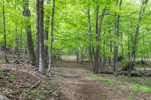17 Skytop Ridge, Rhinebeck, NY 12572 - Photo 23