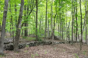 17 Skytop Ridge, Rhinebeck, NY 12572 - Photo 25