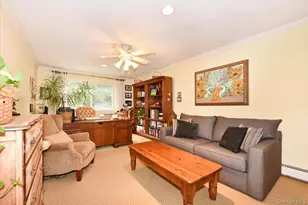 320 E Shore Rd, Great Neck, NY 11023 - Photo 27