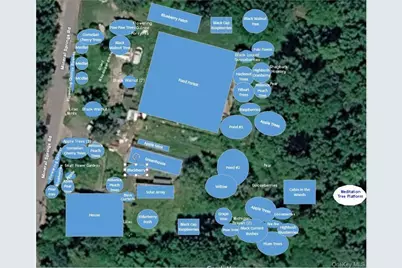 64 & 68 Mineral Springs Road, Livingston Manor, NY 12758 - Photo 39