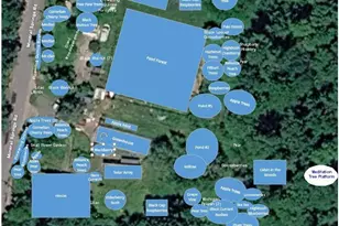 64 & 68 Mineral Springs Rd, Livingston Manor, NY 12758 - Photo 39
