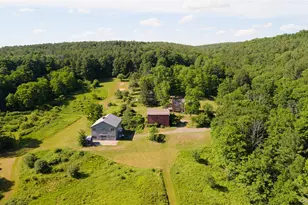 79 Cemetery Rd, Chatham, NY 12060 - Photo 35