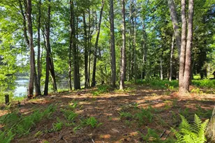 80 Beaver Brook Rd, Yulan, NY 12764 - Photo 21