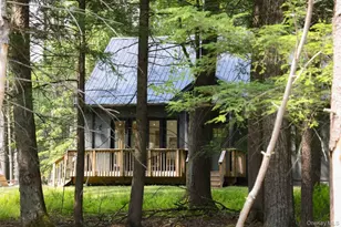 305 Reyer Rd, Narrowsburg, NY 12764 - Photo 27