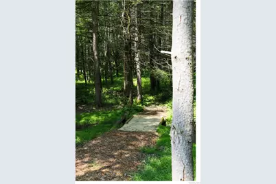 301 Reyer Road, Narrowsburg, NY 12764 - Photo 41
