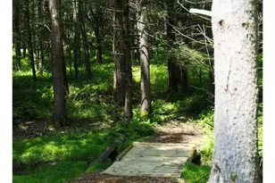 301 Reyer Rd, Narrowsburg, NY 12764 - Photo 41