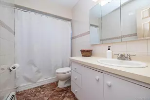 119 Caroline Ave, Franklin Square, NY 11010 - Photo 25