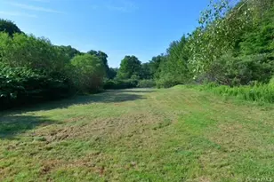 609 Grooville Rd, Livingston Manor, NY 12758 - Photo 35