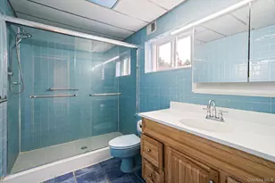 11 Carrol Pl, Greenlawn, NY 11740 - Photo 31