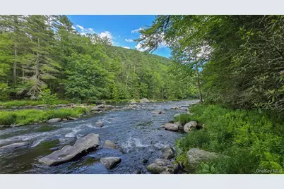 225 Hatchery Road, Forestburgh, NY 12777 - Photo 9