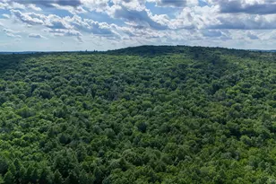 225 Hatchery Rd, Forestburgh, NY 12777 - Photo 29