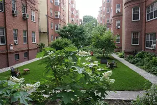 35-24 78th St, Jackson Heights, NY 11372 - Photo 3