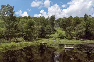 689 Church Rd, Mountain Dale, NY 12763 - Photo 25