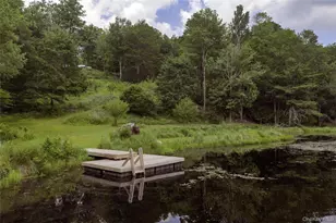 689 Church Rd, Mountain Dale, NY 12763 - Photo 5