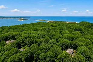 21 Druid Hill Rd, Port Jefferson, NY 11777 - Photo 5