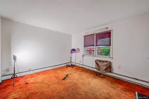 919 E 99th St, Brooklyn, NY 11236 - Photo 37