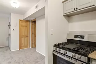 58 Bailey Ct, Middle Island, NY 11953 - Photo 17