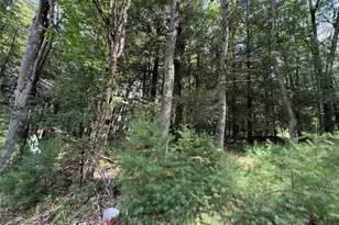 60 Highland Lake Rd, Eldred, NY 12732 - Photo 31