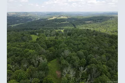 1103 County Road 114, Cochecton Center, NY 12726 - Photo 27