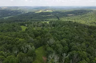 1103 Co Rd 114, Cochecton Center, NY 12726 - Photo 27