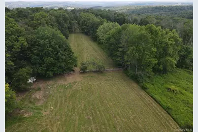 1103 County Road 114, Cochecton Center, NY 12726 - Photo 25