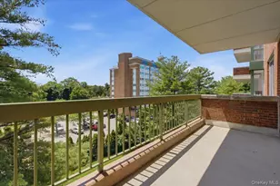 100 Hilton Ave, Garden City, NY 11530 - Photo 19
