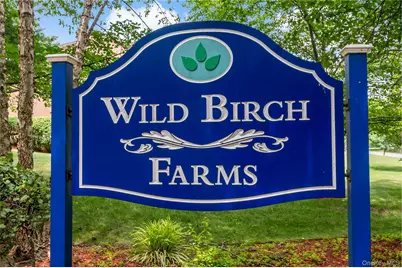 95 Wild Birch Farms, Cortlandt Manor, NY 10567 - Photo 29