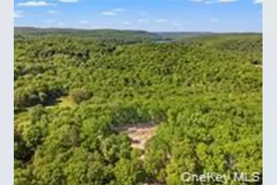 Lot 5 A S White Rock Road, Holmes, NY 12564 - Photo 19